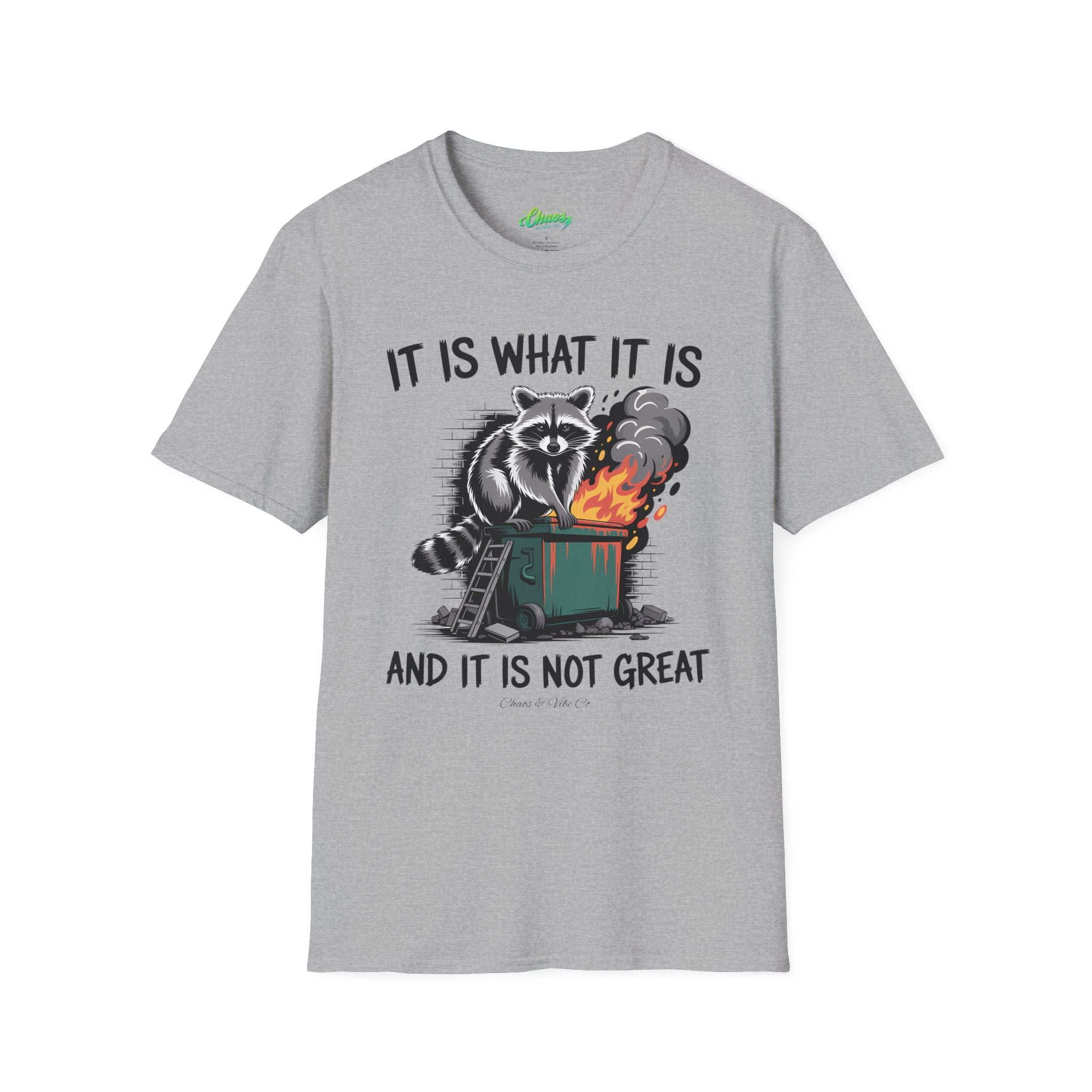 Unisex Dumpster Fire Raccoon T-Shirt – "It Is What It Is And It Is Not Great" Graphic Tee