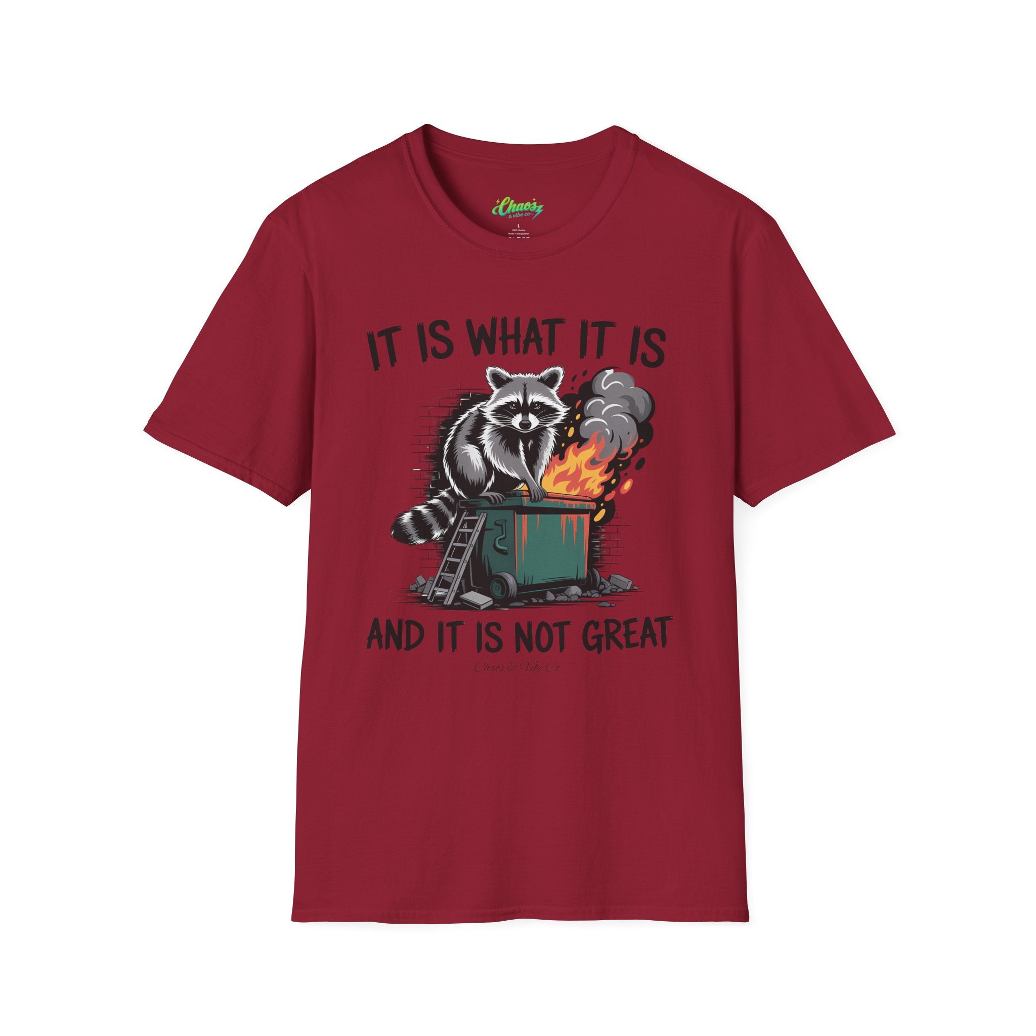 Unisex Dumpster Fire Raccoon T-Shirt – "It Is What It Is And It Is Not Great" Graphic Tee